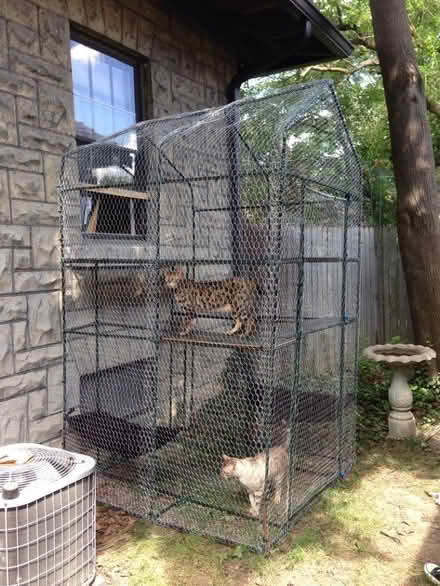 Photo of free Greenhouse (Frederick , Maryland) #2