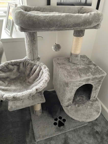 Photo of free Kitten/Cat Tree Fantastic condition (Crossgates LS15) #1