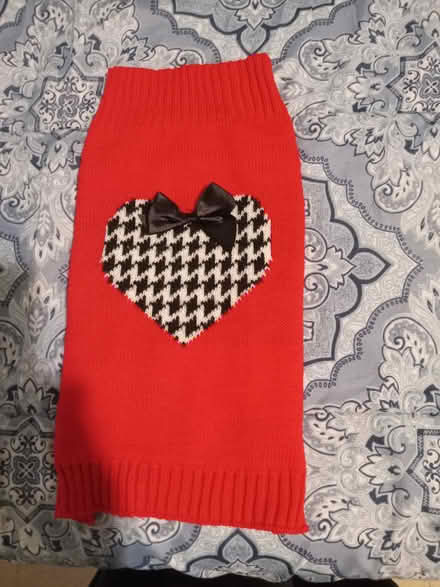 Photo of free Medium Dog Sweater (Flatiron District) #1