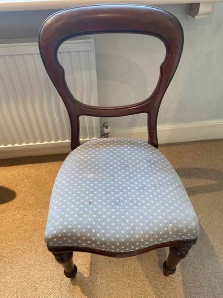 Photo of free Balloon back chair (N6) #1