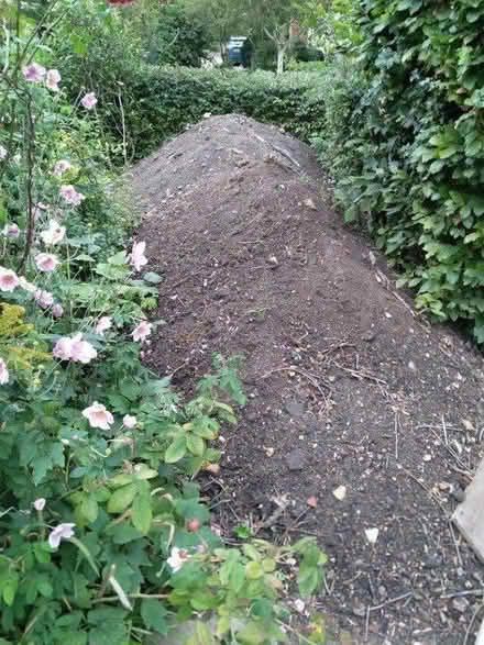 Photo of free Top soil (IP21) #1
