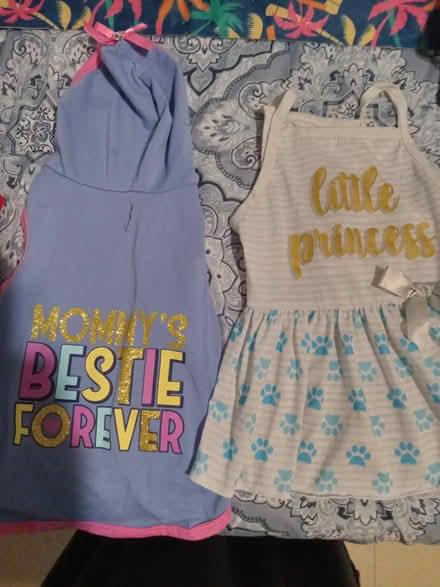 Photo of free (2) md size dog attire (Flatiron District) #1