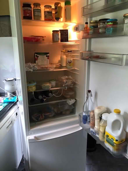 Photo of free Very tall fridge freezer (Bognor Regis) #1