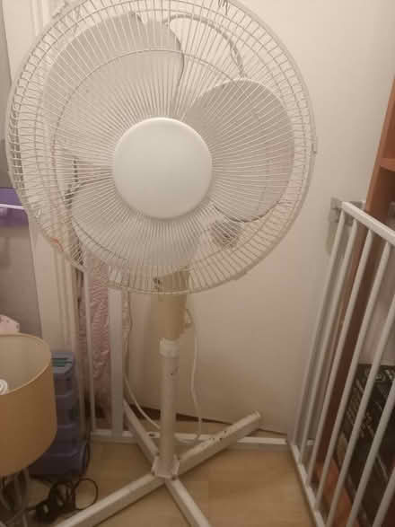 Photo of free Free standing fan (Kingsholm GL1) #1