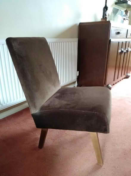 Photo of free small chair (Dronfield Woodhouse S18) #2