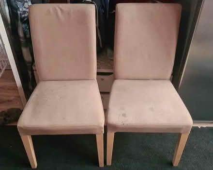 Photo of free Dining chairs (CR0) #1