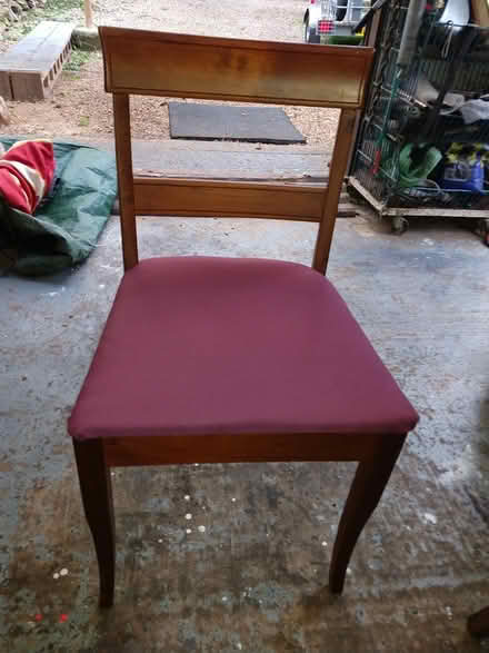 Photo of free Dining Chairs x 4 Clean & Tidy (Kilmington, Warminster BA12) #2