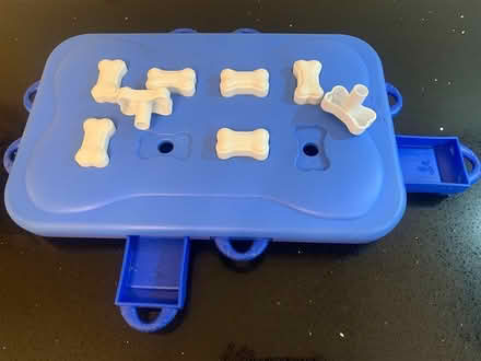 Photo of free Interactive Puzzle for Dogs (Erin Mills/Britannia) #2