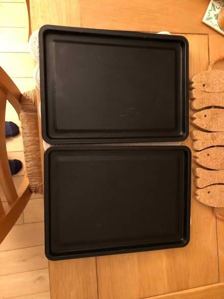 Photo of free Two baking sheets (TW2) #1