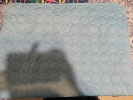 Photo of free Dog Cooling Mat (Flatiron District) #1