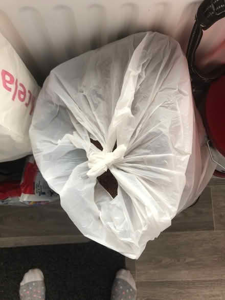 Photo of free Dog equipment (CW1) #2