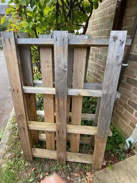 Photo of free 2x pallets (Divinity Road OX4) #1