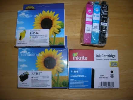 Photo of free Epson compatible ink cartridges (Coxheath ME17) #1