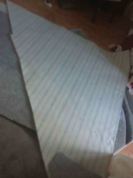 Photo of free Newly laid today carpet offcuts (Beauchief, S8) #3