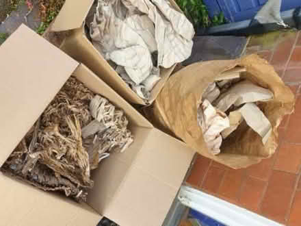 Photo of free Paper packaging- scrunched or shredded (Alcester Lanes End B14) #1
