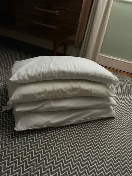 Photo of free 4 x Full Size Bed Pillows (BN3) #1