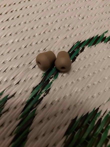 Photo of free Stethoscope Ear Pieces (Cambridge CB1) #1