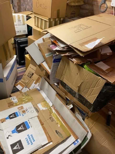 Photo of free Boxes (Ferndale DY11) #1