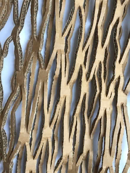Photo of Cardboard Packaging (Eaton NR4) #1