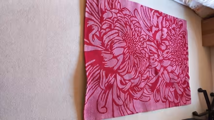 Photo of free Next rug pink and red (Walkern) #2