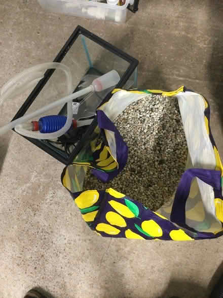 Photo of free Small fish tank plus stones and acc (Winwick WA2) #1