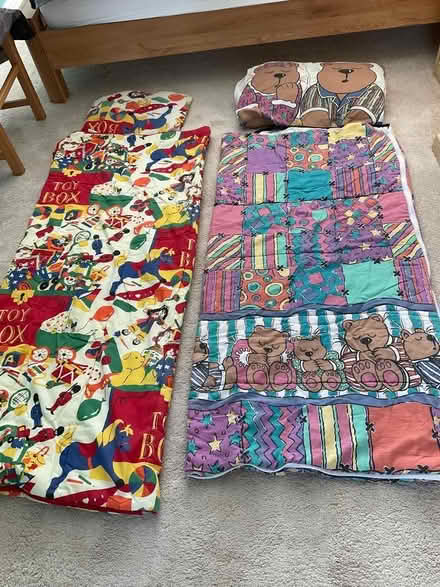 Photo of free 2 child sleeping bags (Lower Stondon SG16) #2