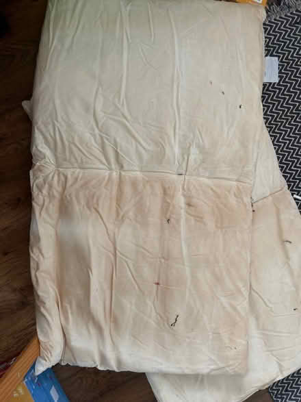 Photo of free 2 x large cushions/pillows (Ketley TF1) #1
