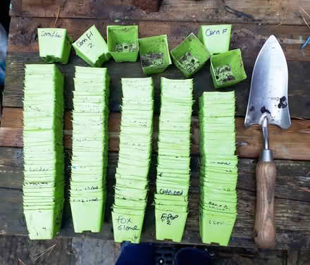 Photo of free Approx' 180 seed sowing pots (Horsham.) #1