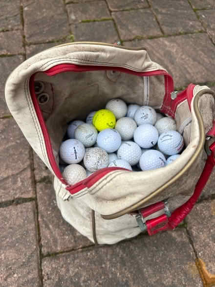 Photo of free Bag of golf balls (East Calder, EH53) #1