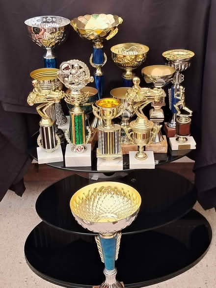 Photo of free Trophies - Various/Cricket/Karting (Cheltenham) #1