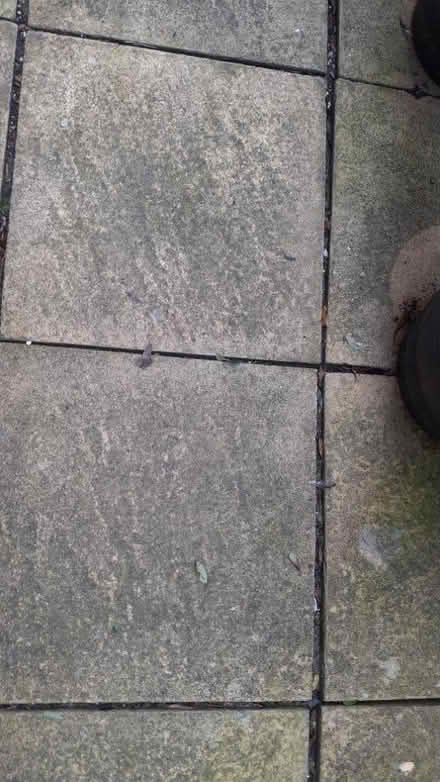 Photo of free Paving slabs (Exeter EX2) #2