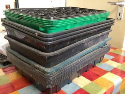 Photo of free Seed trays (Woodmancote GL52) #1