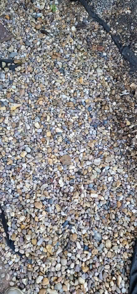 Photo of free Garden stones (Dartford DA2) #2