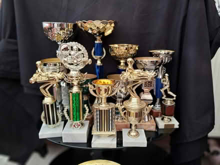 Photo of free Trophies - Various/Cricket/Karting (Cheltenham) #2