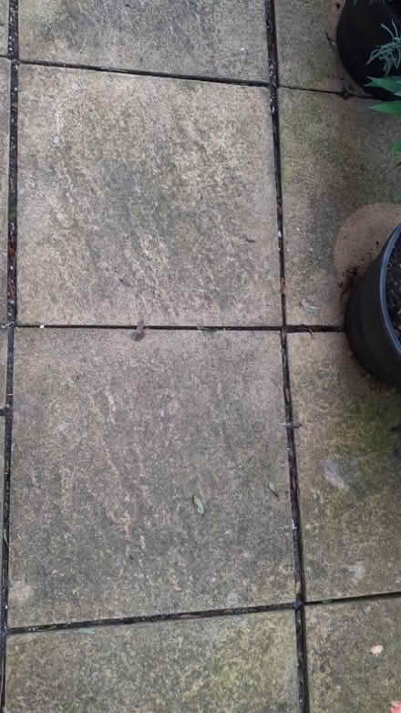 Photo of free Paving slabs (Exeter EX2) #1