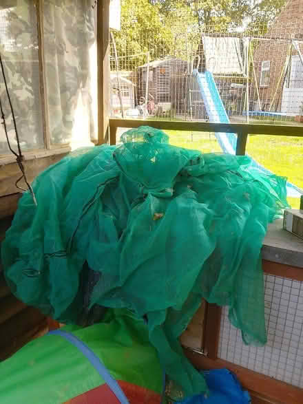 Photo of free Garden netting (Long Melford) #1