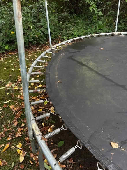 Photo of free Trampoline (New barnet) #1