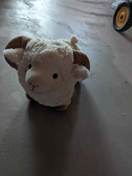Photo of free Stuffed animal (Shell gas station, Hampton NJ) #2