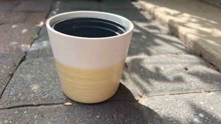Photo of free Pot (Clarendon metro,Arlington, VA) #1
