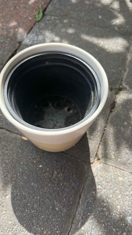 Photo of free Pot (Clarendon metro,Arlington, VA) #2