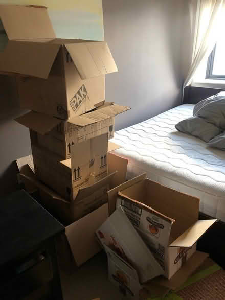 Photo of free Cardboard boxes for moving (Clapton E5) #1