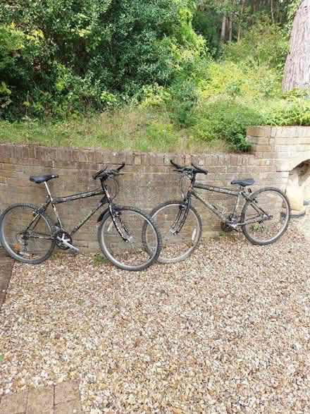 Photo of free Bikes (Frimley Green GU16) #1