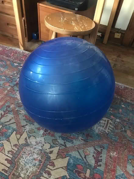 Photo of free Exercise ball (Brookland) #1