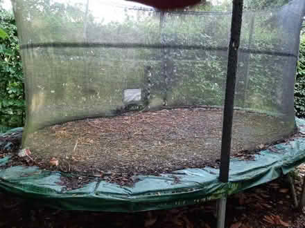 Photo of free Jumpking Oval Trampoline 15ft x 10ft (Lower Assendon RG9) #1
