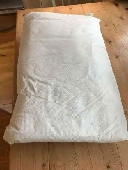 Photo of free Waterproof Pillow (Continence Aid) (Northend) #1