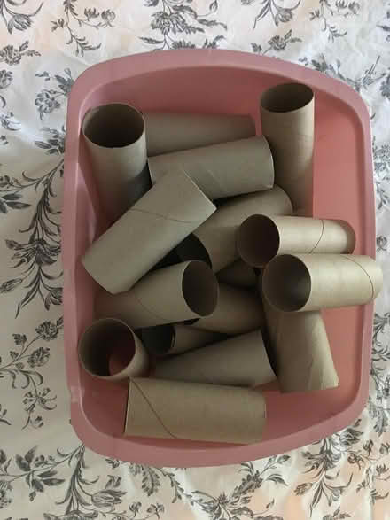 Photo of free Tissue Paper Rolls for Crafts (Germantown) #1