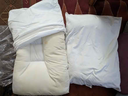 Photo of free Bed pillows (Hayward NE) #1