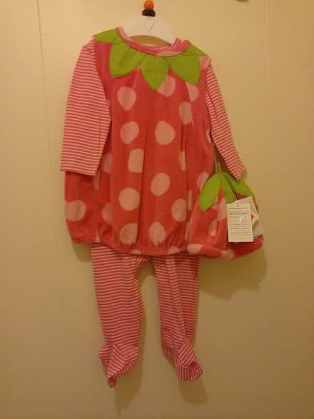 Photo of free Halloween outfit for girl 6-9 mo (Haverford, PA 19041) #1