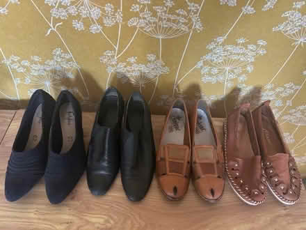 Photo of free Shoes size 7 (Shiregreen S5) #1