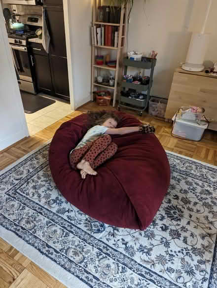 Photo of free Pillowsac (20008, near BreadFurst) #4
